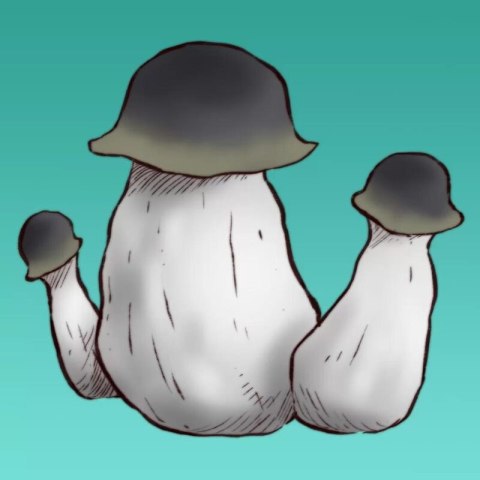 Mykożerca Growkit APE Mykożerca Growkit APE