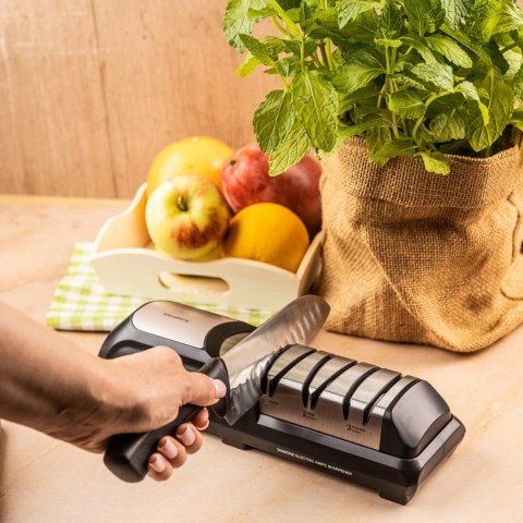 ELEKTRYCZNA DIAMENTOWA OSTRZAŁKA DO NOŻY KLAUSBERG KB-7945