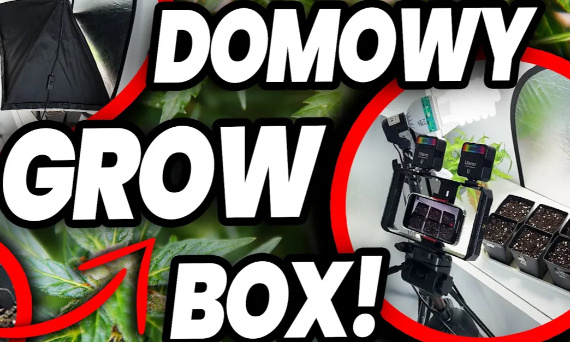Jak w PROSTY i SZYBKI sposób zrobić DOMOWE warunki do hodowania zioła? Growbox na szybko !