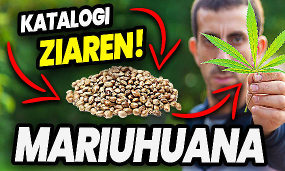 Pierwszy odcinek na kanale Weed Station!